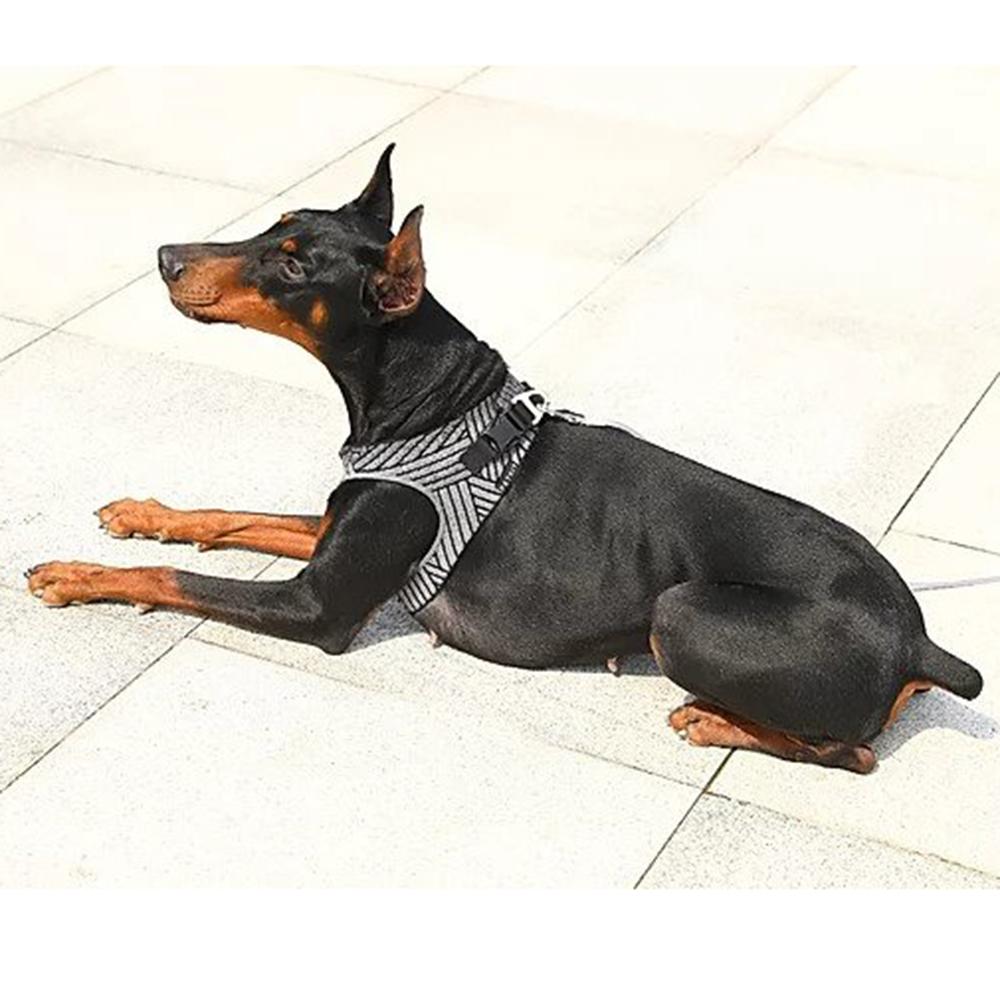 Reflective Shock Absorbent  Air Fly Dog Harness