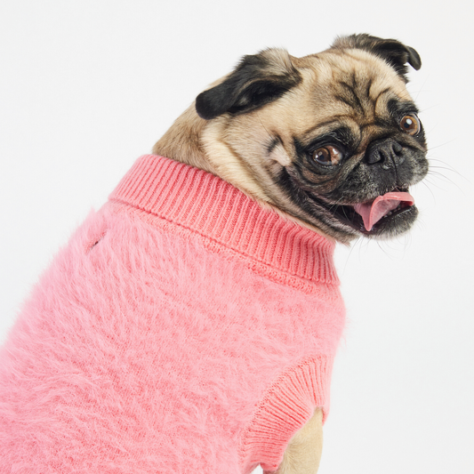 The Fifi Dog Sweater