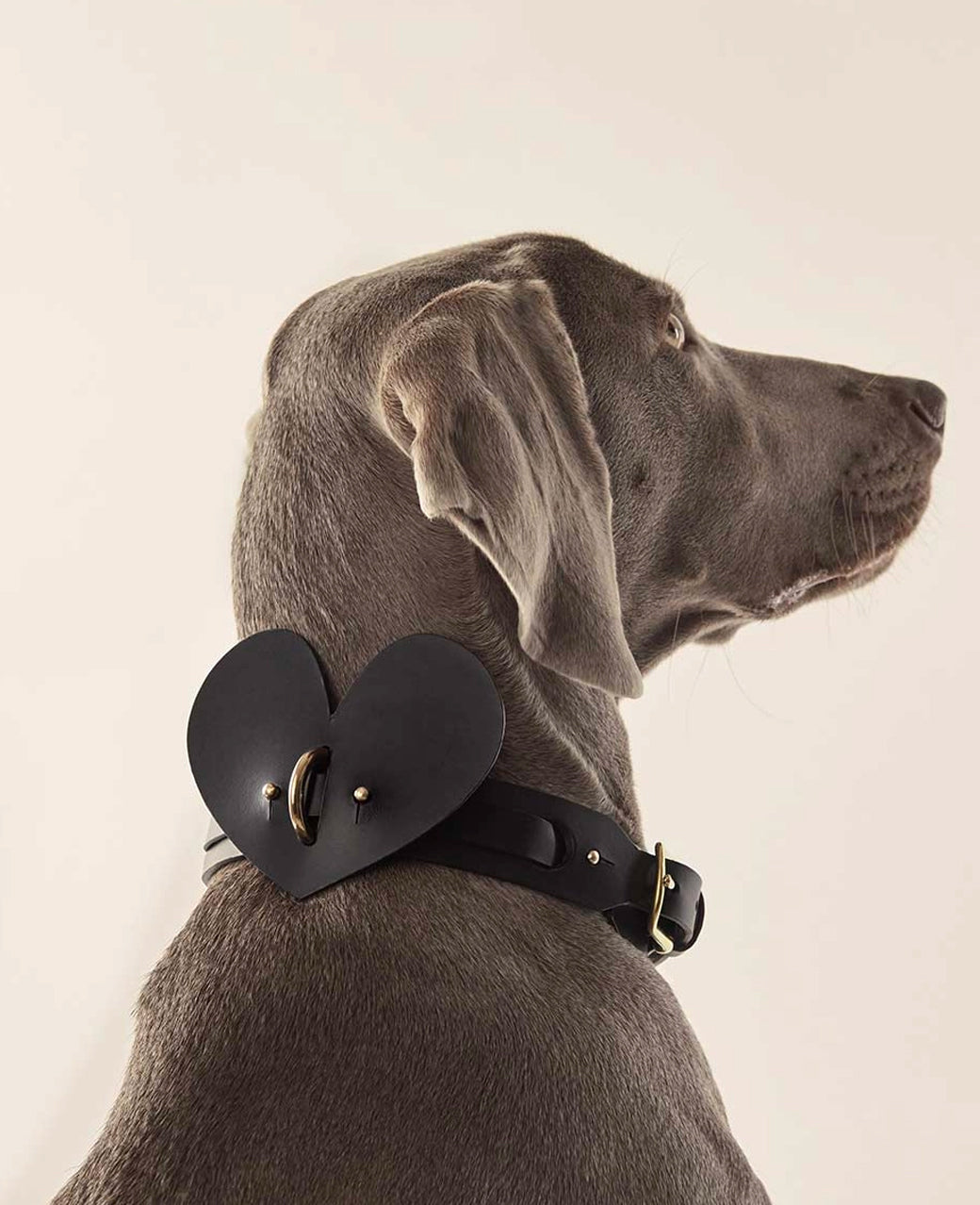 Leather Dog Heart Collar Accessory