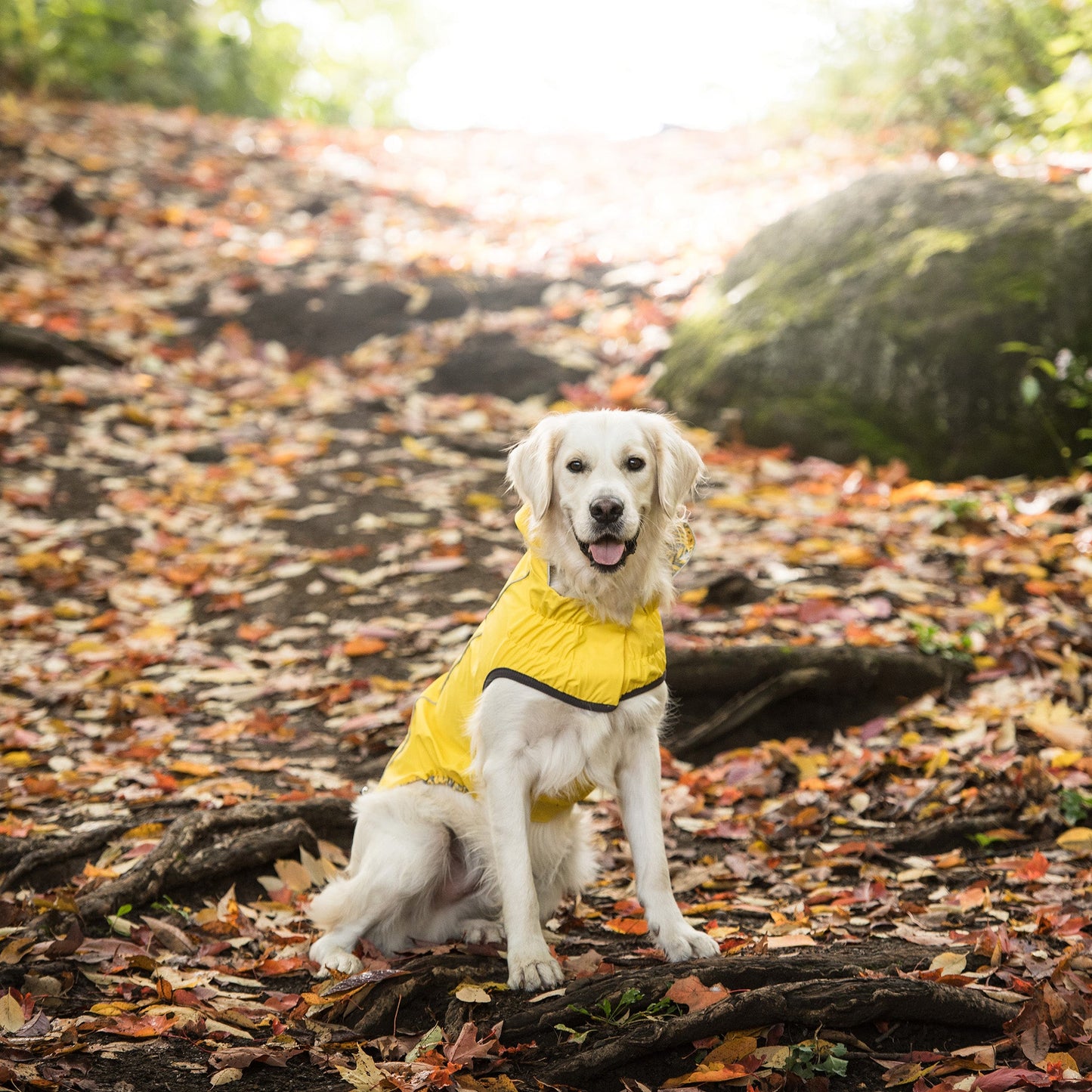 The Reversible Elasto-Fit Raincoat - Yellow