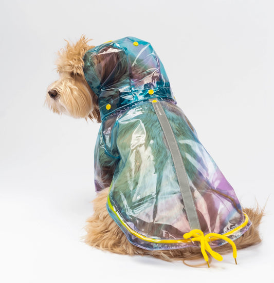 Kinney Dog Rainbow Raincoat