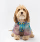 Kinney Dog Rainbow Raincoat