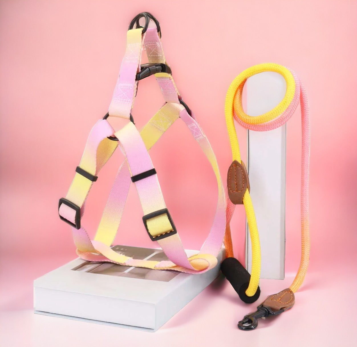 Ombre Harness and Leash Set