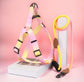 Ombre Harness and Leash Set