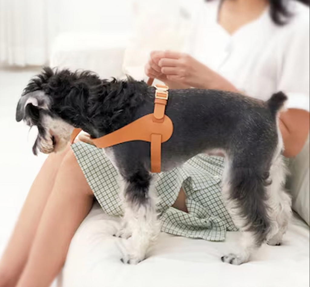 The Allistar Designer Leather Dog Harness