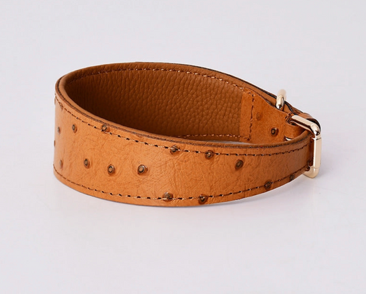 The Clyde Leather Solid Dog Collar