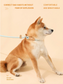 Adjustable Rope Collar Combo Dog Leash