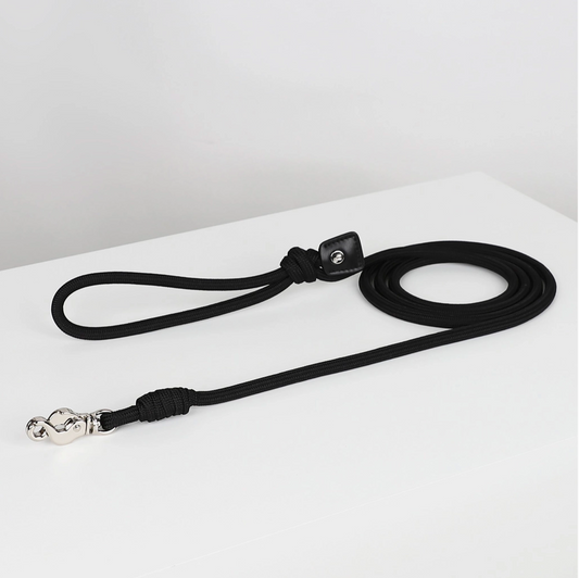 The Essential Leash