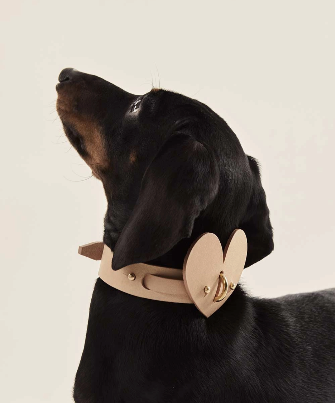 Leather Dog Heart Collar Accessory