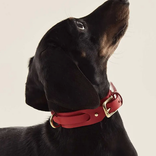 Handcrafted Vegetable Tanned Leather Collar