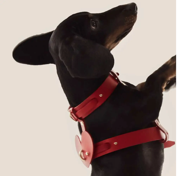 Leather Dog Heart Collar Accessory