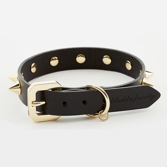 The Golden Spike Black Collar