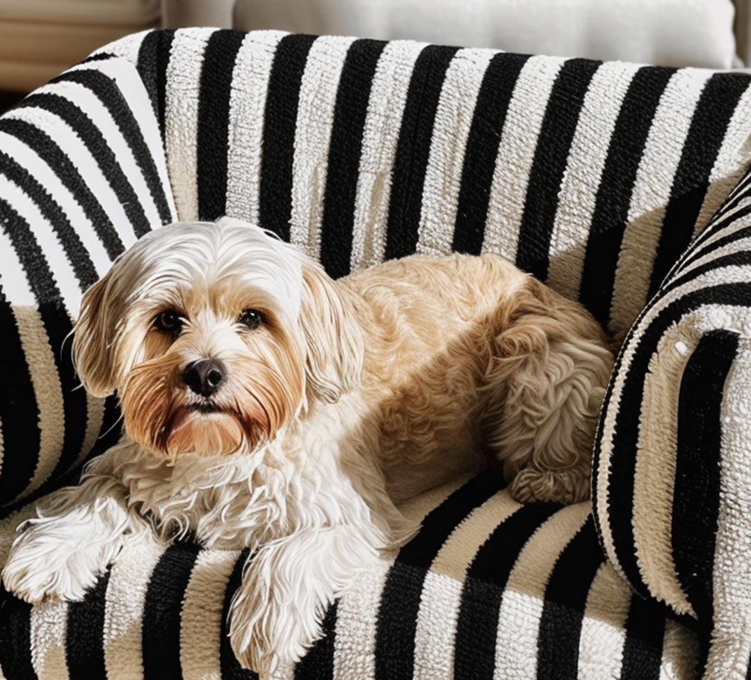 Mod Striped Pet Bed