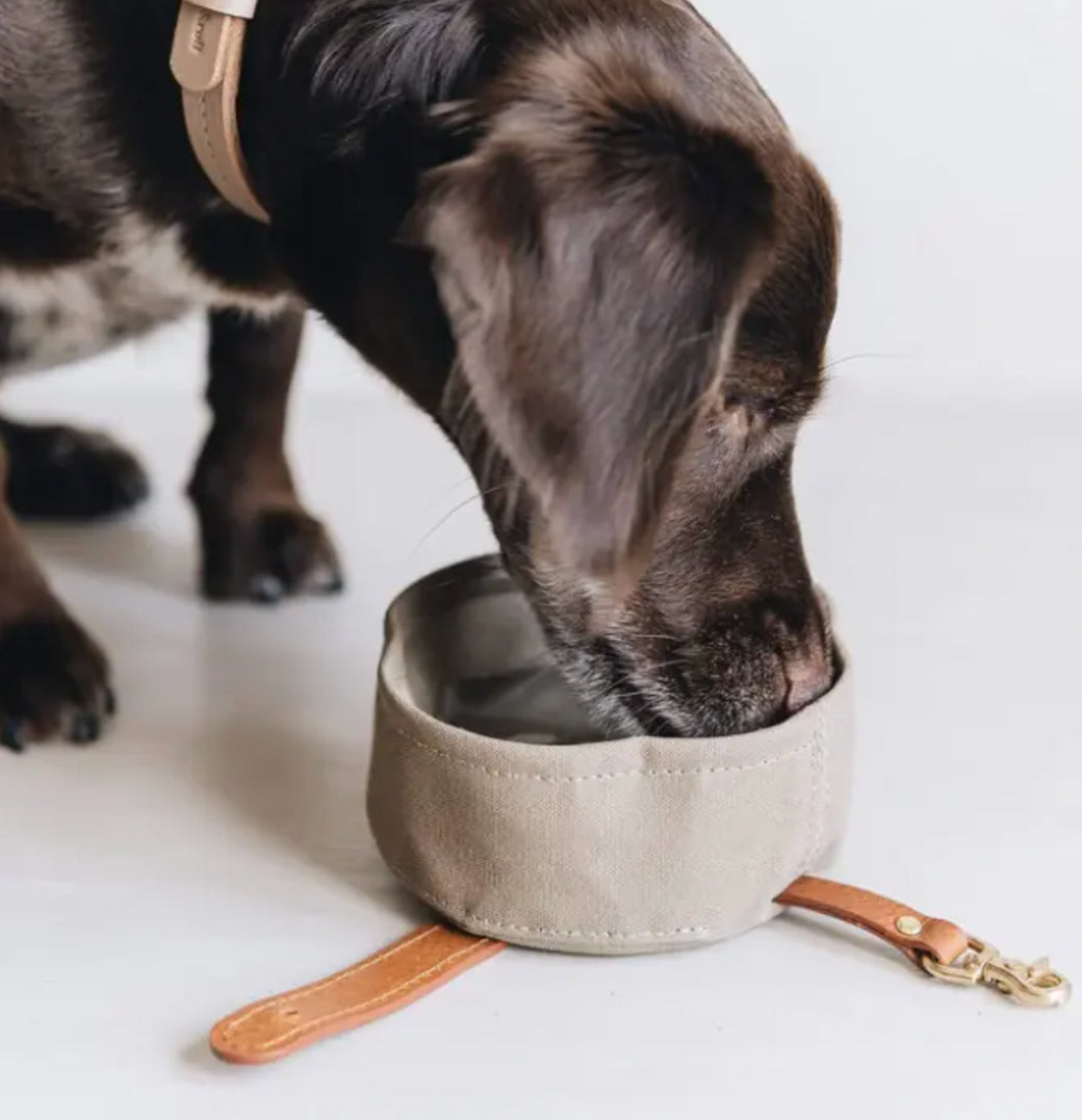 Waterproof Portable Pet Dog Water Bowl Waxed Canvas Pet Feeding Bowl