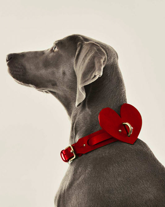 The  Handcrafted Heart & Soul Leather Dog Collar